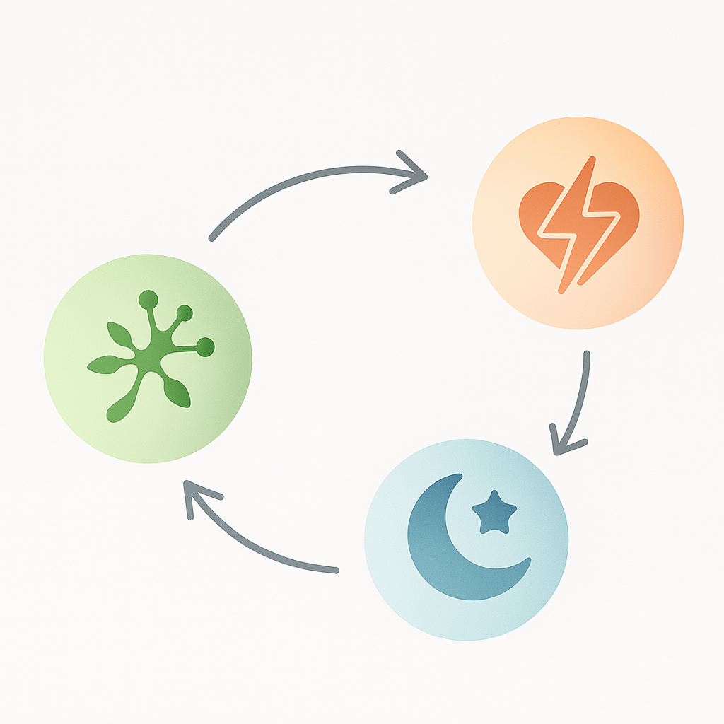 ECS・ストレス・睡眠が循環する模式図